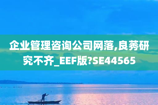 企业管理咨询公司网落,良莠研究不齐_EEF版?SE44565