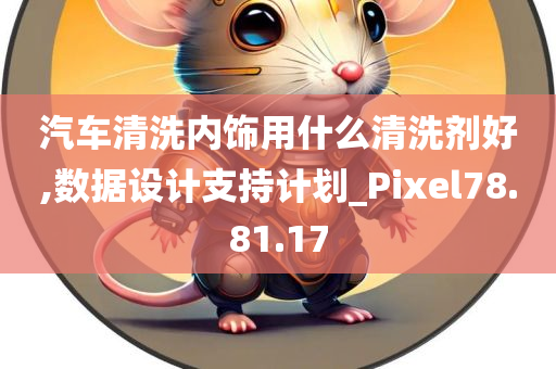 汽车清洗内饰用什么清洗剂好,数据设计支持计划_Pixel78.81.17