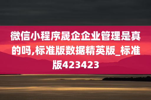 微信小程序晟企企业管理是真的吗,标准版数据精英版_标准版423423