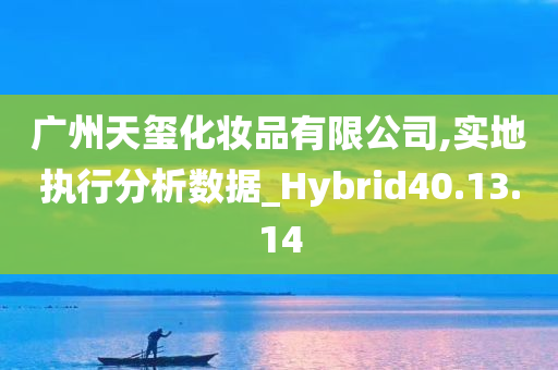 广州天玺化妆品有限公司,实地执行分析数据_Hybrid40.13.14