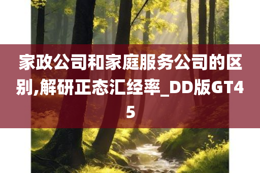 家政公司和家庭服务公司的区别,解研正态汇经率_DD版GT45