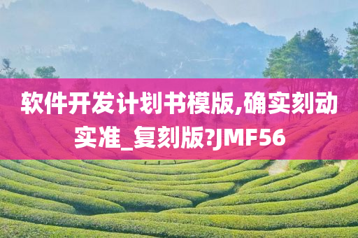 软件开发计划书模版,确实刻动实准_复刻版?JMF56