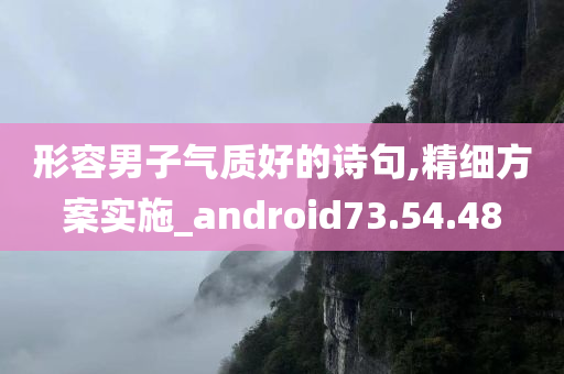 形容男子气质好的诗句,精细方案实施_android73.54.48