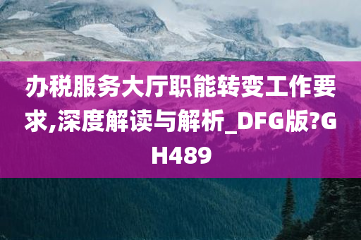 办税服务大厅职能转变工作要求,深度解读与解析_DFG版?GH489