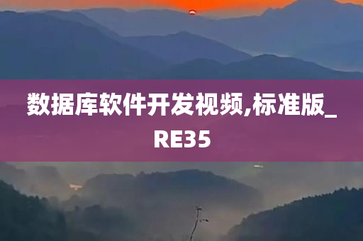 数据库软件开发视频,标准版_RE35