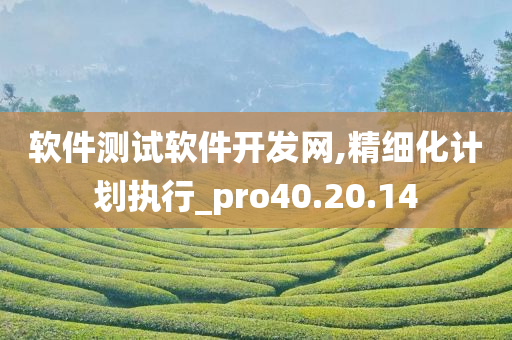 软件测试软件开发网,精细化计划执行_pro40.20.14