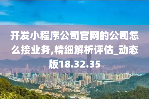 开发小程序公司官网的公司怎么接业务,精细解析评估_动态版18.32.35