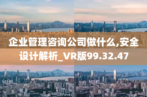 企业管理咨询公司做什么,安全设计解析_VR版99.32.47