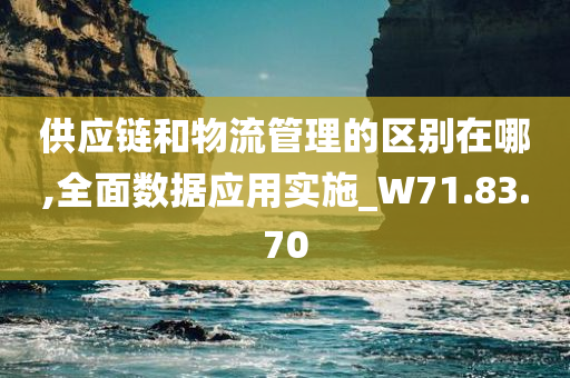 供应链和物流管理的区别在哪,全面数据应用实施_W71.83.70