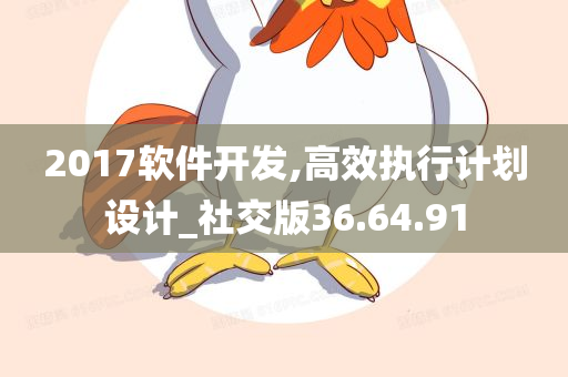 2017软件开发,高效执行计划设计_社交版36.64.91