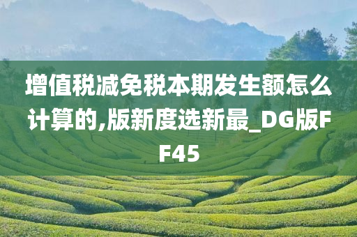 增值税减免税本期发生额怎么计算的,版新度选新最_DG版FF45