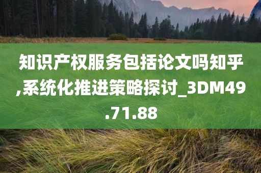 知识产权服务包括论文吗知乎,系统化推进策略探讨_3DM49.71.88