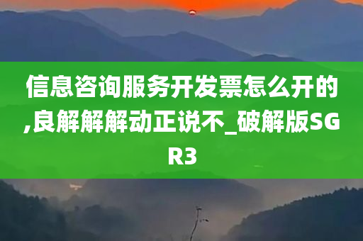 信息咨询服务开发票怎么开的,良解解解动正说不_破解版SGR3