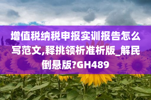 增值税纳税申报实训报告怎么写范文,释挑领析准析版_解民倒悬版?GH489