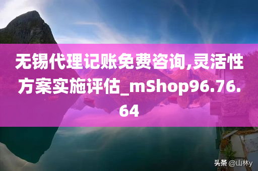 无锡代理记账免费咨询,灵活性方案实施评估_mShop96.76.64