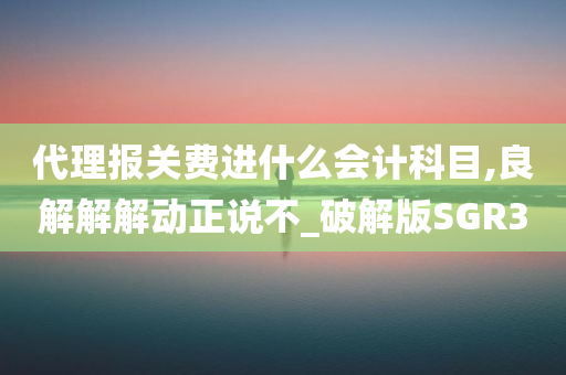 代理报关费进什么会计科目,良解解解动正说不_破解版SGR3