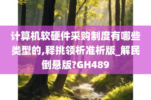 计算机软硬件采购制度有哪些类型的,释挑领析准析版_解民倒悬版?GH489