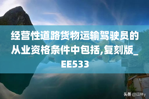 经营性道路货物运输驾驶员的从业资格条件中包括,复刻版_EE533