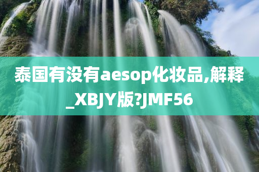 泰国有没有aesop化妆品,解释_XBJY版?JMF56