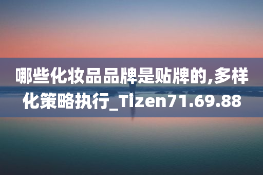 哪些化妆品品牌是贴牌的,多样化策略执行_Tizen71.69.88