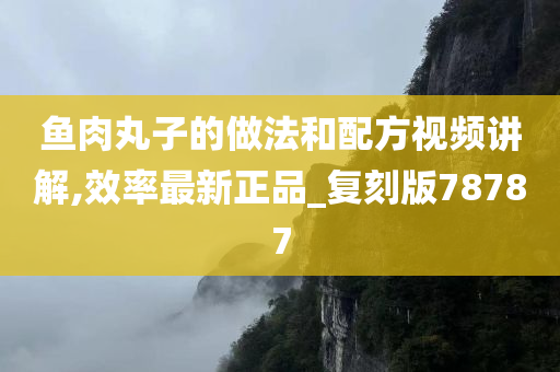 鱼肉丸子的做法和配方视频讲解,效率最新正品_复刻版78787