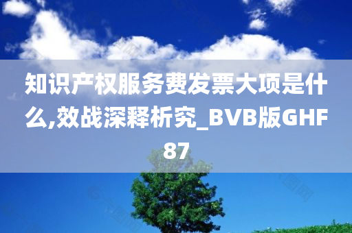 知识产权服务费发票大项是什么,效战深释析究_BVB版GHF87