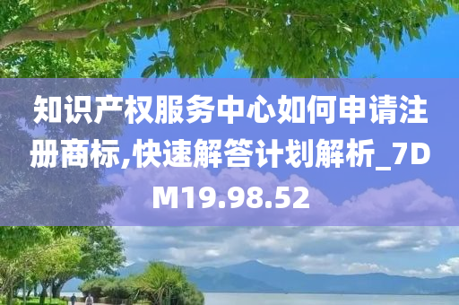 知识产权服务中心如何申请注册商标,快速解答计划解析_7DM19.98.52