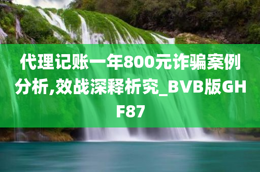 代理记账一年800元诈骗案例分析,效战深释析究_BVB版GHF87