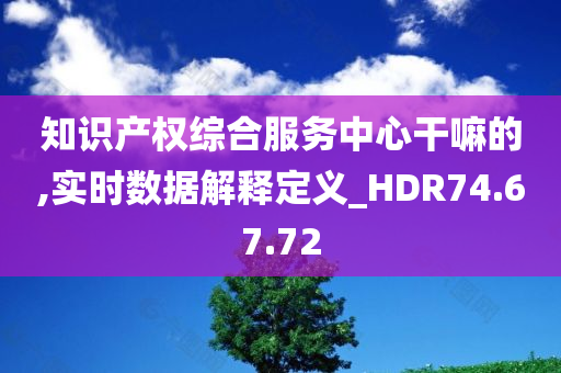 知识产权综合服务中心干嘛的,实时数据解释定义_HDR74.67.72