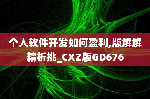 个人软件开发如何盈利,版解解精析挑_CXZ版GD676