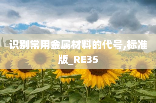 识别常用金属材料的代号,标准版_RE35