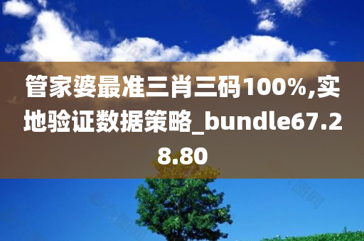 管家婆最准三肖三码100%,实地验证数据策略_bundle67.28.80