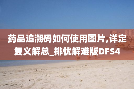 药品追溯码如何使用图片,详定复义解总_排忧解难版DFS4