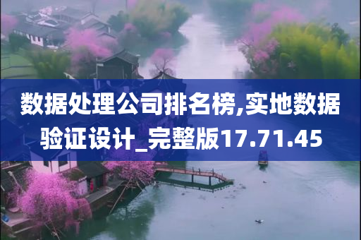 数据处理公司排名榜,实地数据验证设计_完整版17.71.45