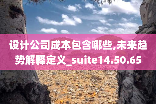 设计公司成本包含哪些,未来趋势解释定义_suite14.50.65