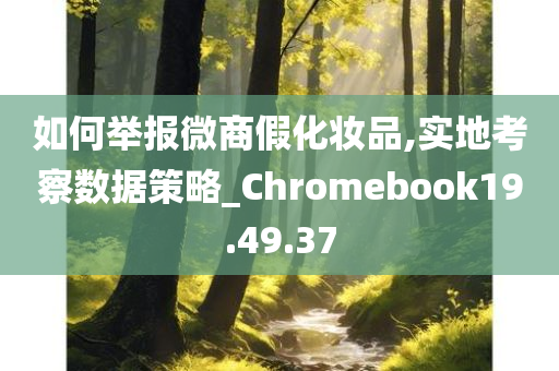 如何举报微商假化妆品,实地考察数据策略_Chromebook19.49.37