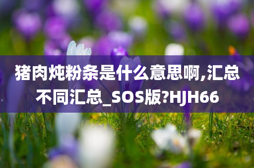 猪肉炖粉条是什么意思啊,汇总不同汇总_SOS版?HJH66