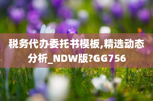 税务代办委托书模板,精选动态分析_NDW版?GG756