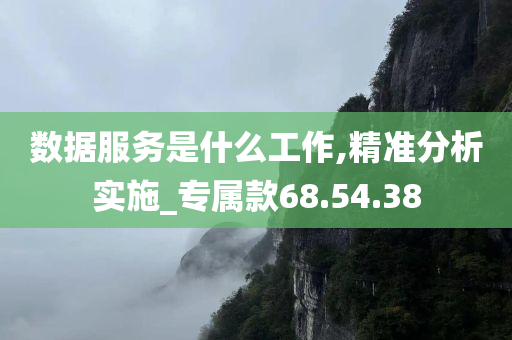 数据服务是什么工作,精准分析实施_专属款68.54.38