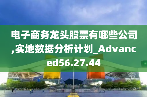 电子商务龙头股票有哪些公司,实地数据分析计划_Advanced56.27.44