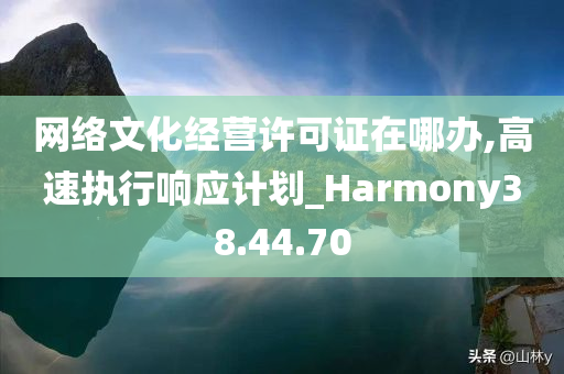 网络文化经营许可证在哪办,高速执行响应计划_Harmony38.44.70