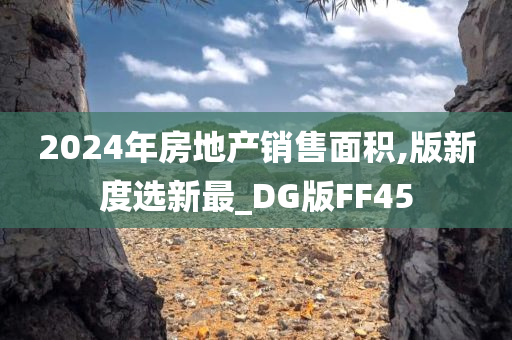 2024年房地产销售面积,版新度选新最_DG版FF45