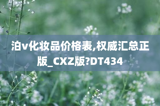 泊v化妆品价格表,权威汇总正版_CXZ版?DT434