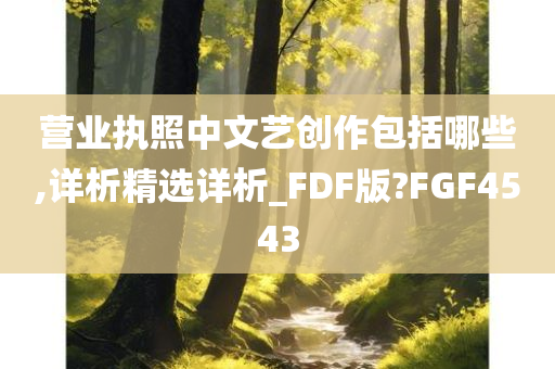 营业执照中文艺创作包括哪些,详析精选详析_FDF版?FGF4543