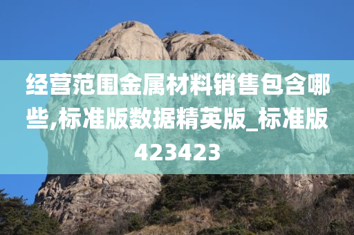 经营范围金属材料销售包含哪些,标准版数据精英版_标准版423423