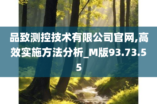 品致测控技术有限公司官网,高效实施方法分析_M版93.73.55