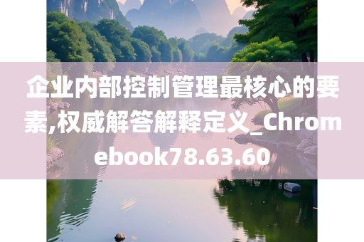 企业内部控制管理最核心的要素,权威解答解释定义_Chromebook78.63.60