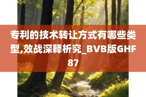 专利的技术转让方式有哪些类型,效战深释析究_BVB版GHF87