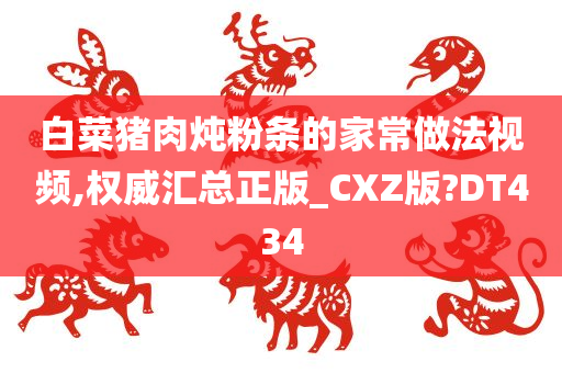 白菜猪肉炖粉条的家常做法视频,权威汇总正版_CXZ版?DT434