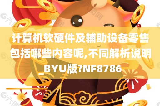 计算机软硬件及辅助设备零售包括哪些内容呢,不同解析说明_BYU版?NF8786